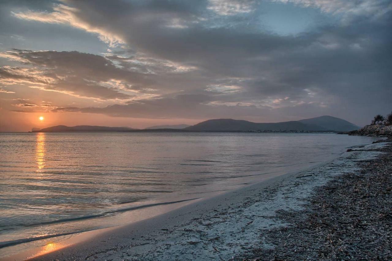 Zona Residenziale, Appartamento Incantevole Vista Mare Via Antonio Gramsci, 18, 07041 Alghero Ss Eksteriør billede